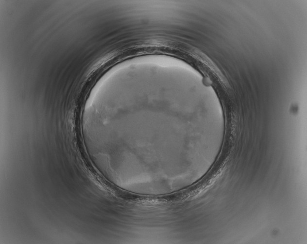 X0000116800826201001081332