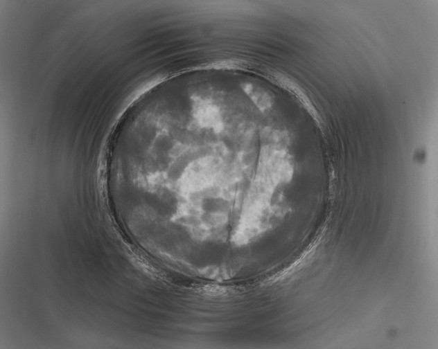 X0000116800827201001081332