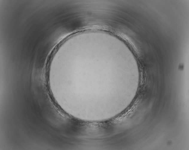 X0000116800828201001081332