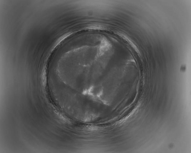 X0000116800829201001081332