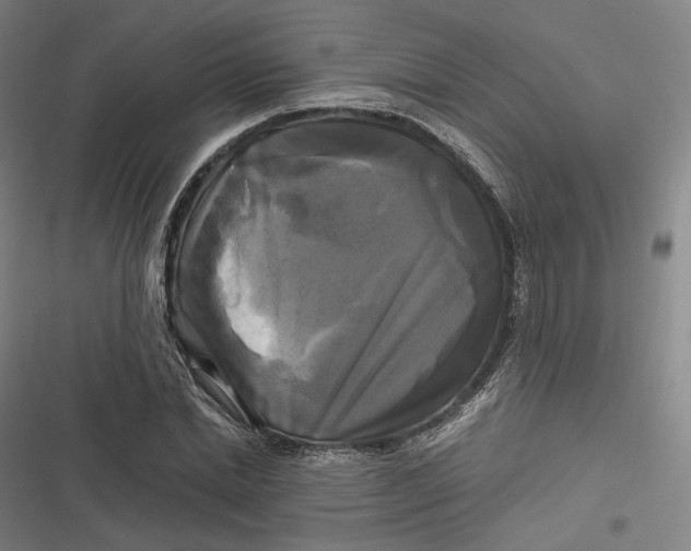 X0000116800830201001081332