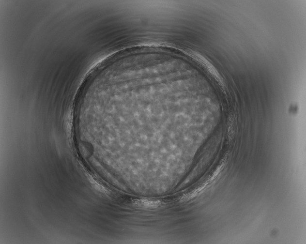 X0000116800831201001081332