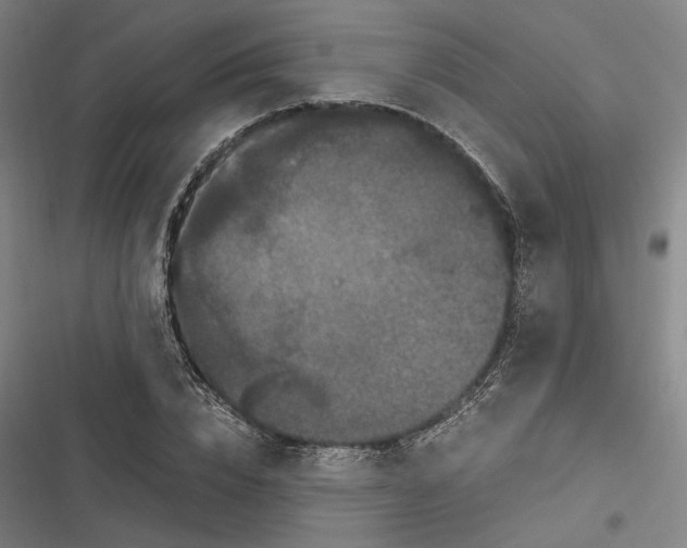 X0000116800832201001081332