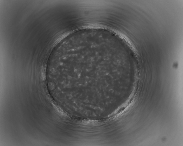 X0000116800833201001081332