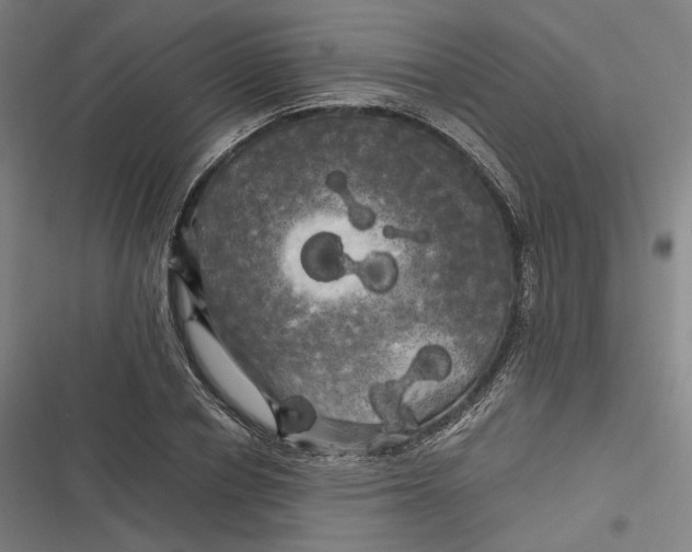 X0000116800834201001081332