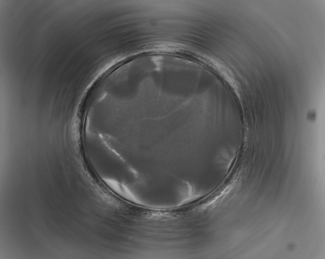 X0000116800835201001081333