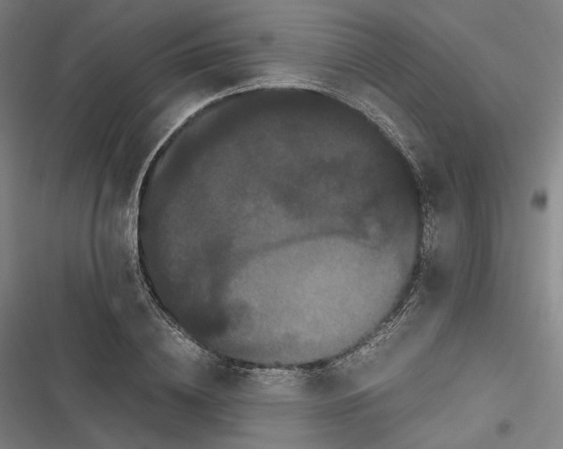 X0000116800836201001081333