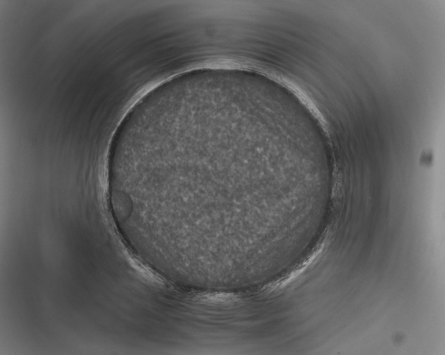 X0000116800837201001081333