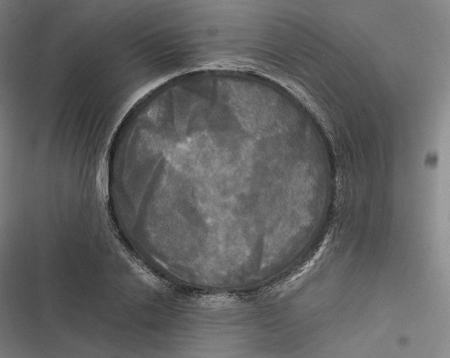X0000116800838201001081333