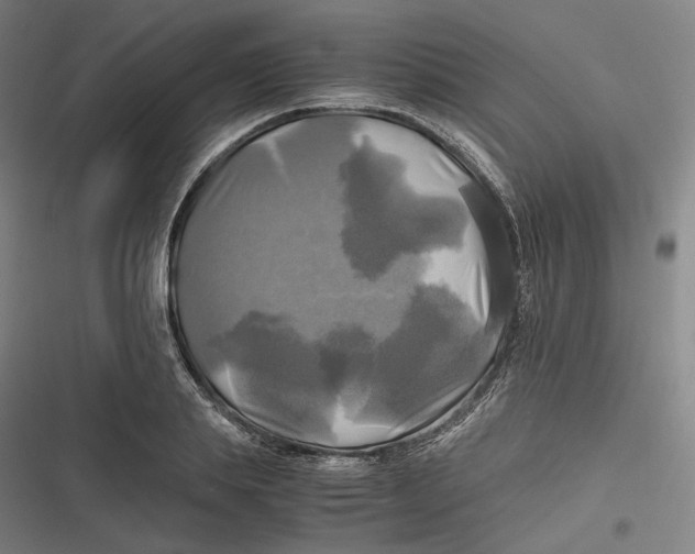 X0000116800839201001081333