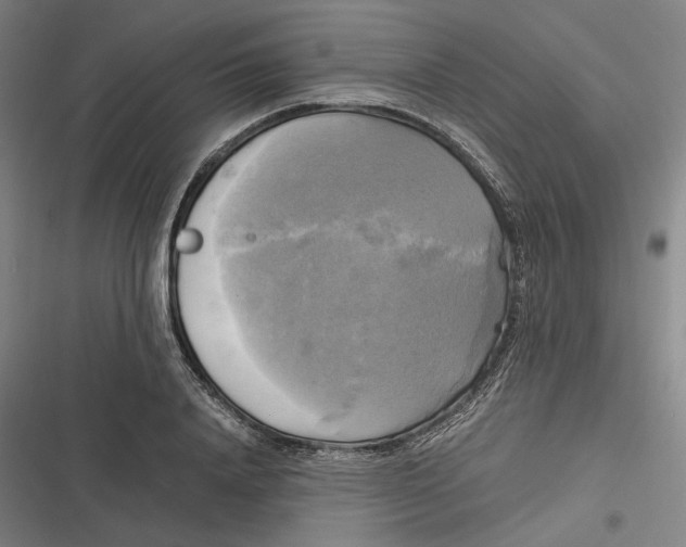 X0000116800840201001081333