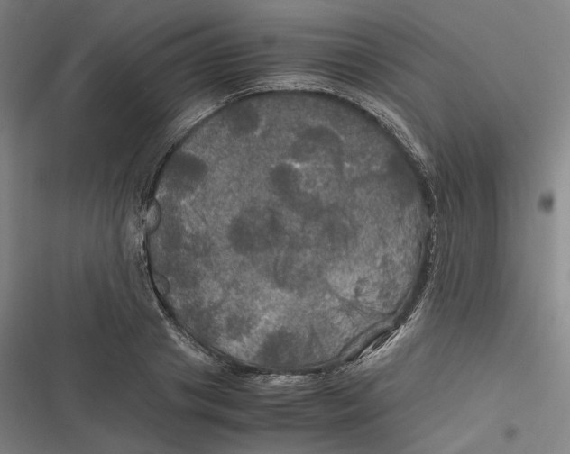 X0000116800841201001081333