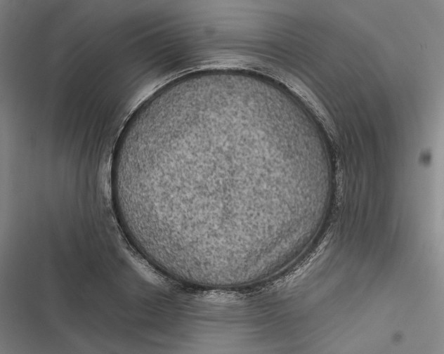 X0000116800842201001081333