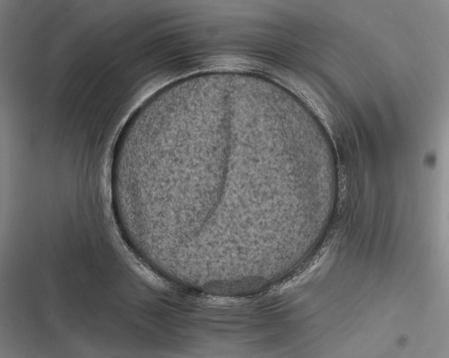 X0000116800843201001081333