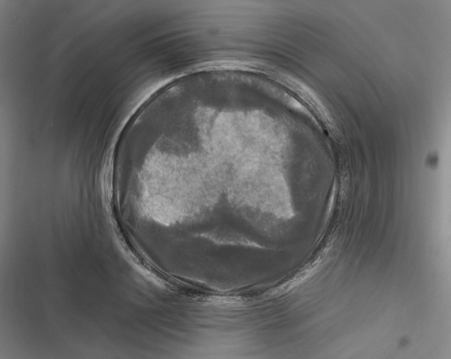 X0000116800844201001081333