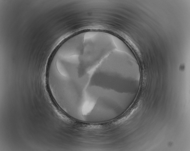 X0000116800845201001081333