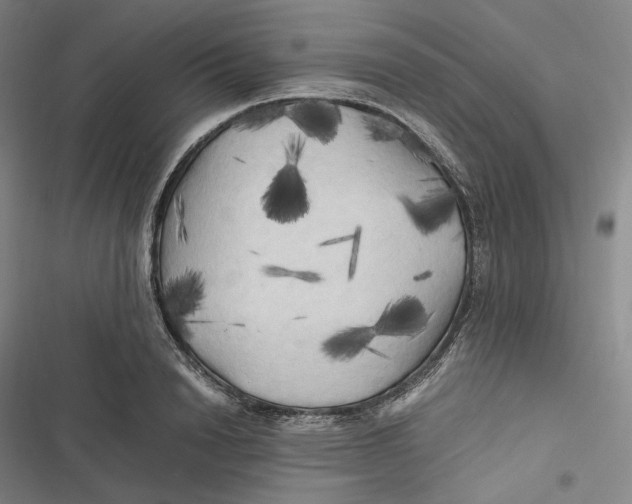 X0000116800846201001081333