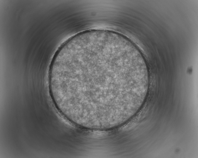 X0000116800848201001081333