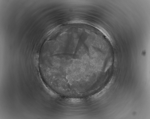 X0000116800849201001081333