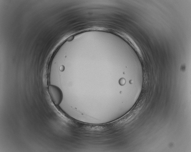 X0000116800851201001081333