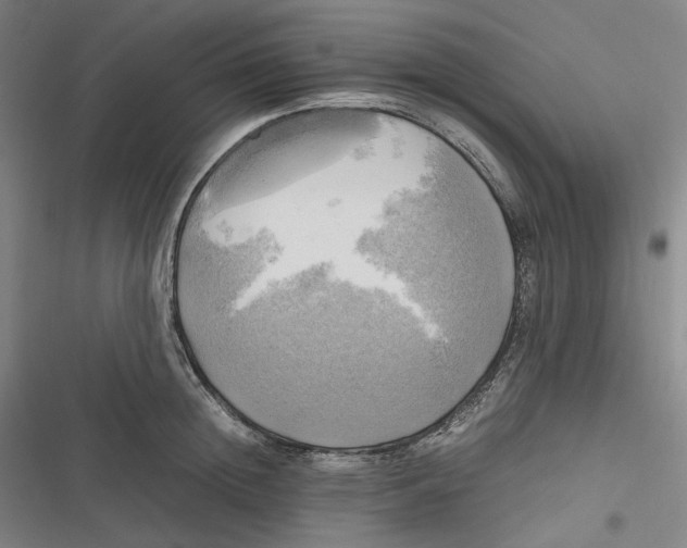 X0000116800852201001081333