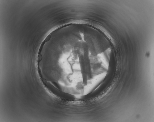 X0000116800853201001081333