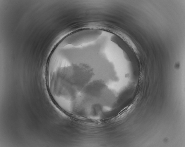 X0000116800855201001081333