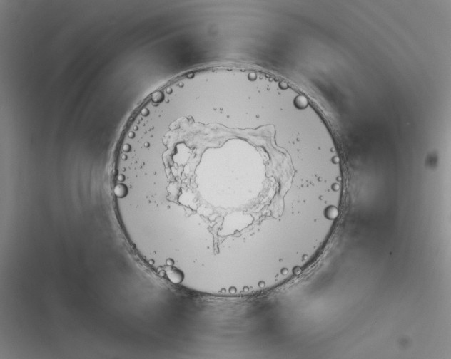 X0000116800856201001081333