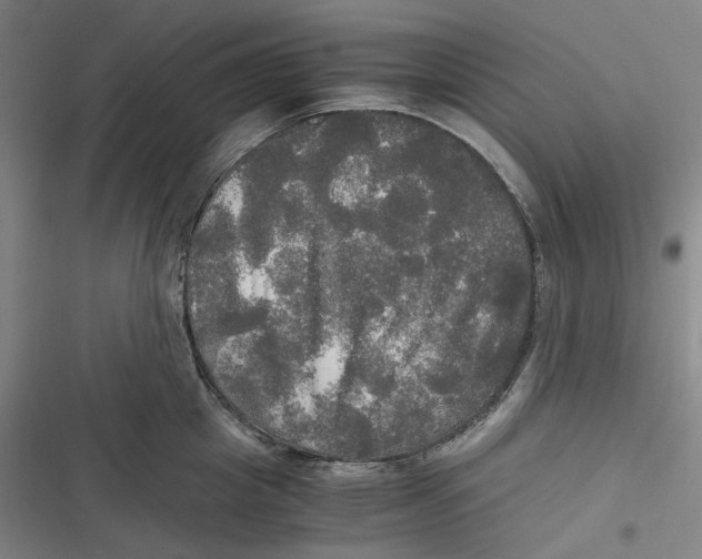 X0000116800857201001081333