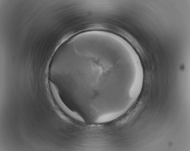 X0000116800858201001081333