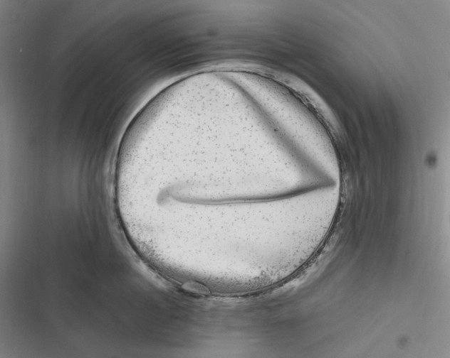 X0000116800860201001081333