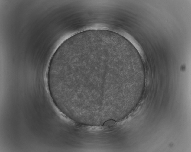 X0000116800861201001081333