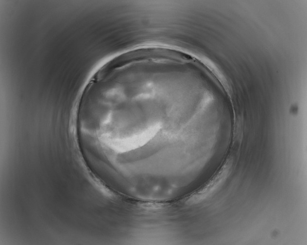 X0000116800862201001081333