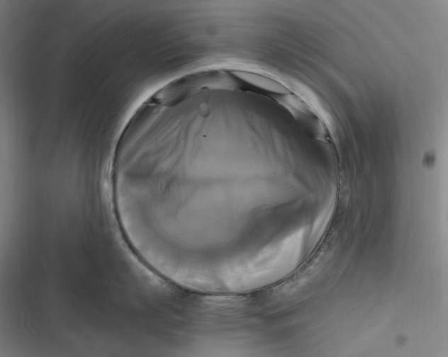 X0000116800863201001081333