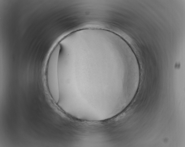 X0000116800864201001081333