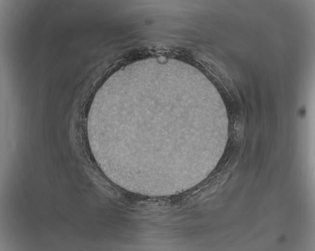 X0000116800865201001081332