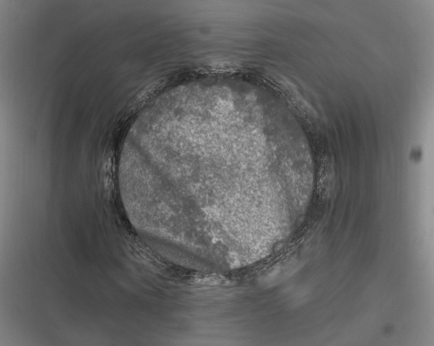 X0000116800866201001081332