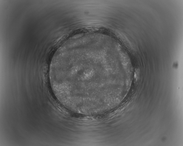 X0000116800867201001081332