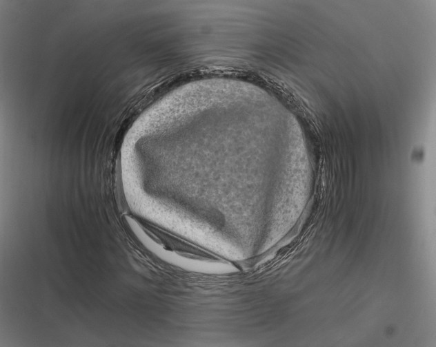 X0000116800868201001081332