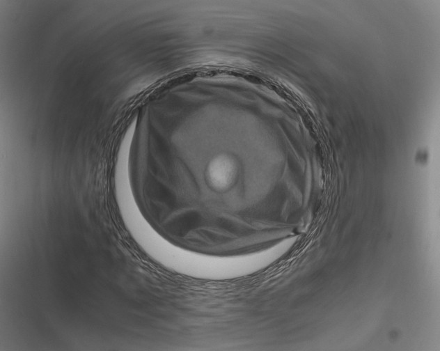 X0000116800869201001081332