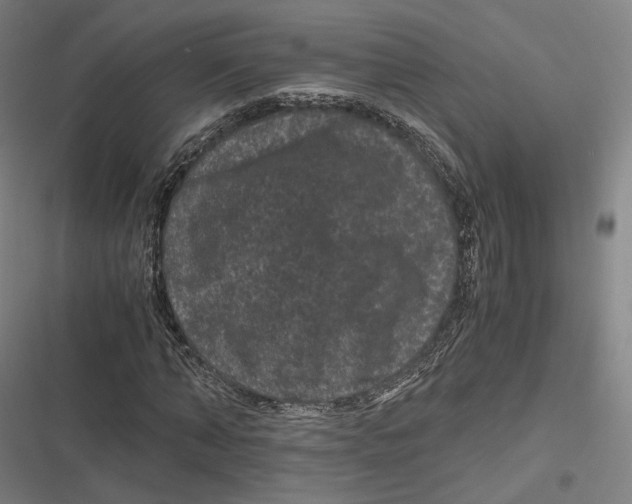 X0000116800870201001081332