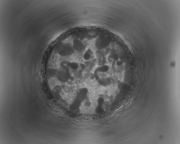 X0000116800871201001081332