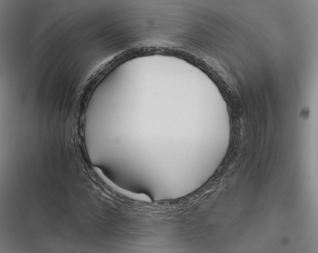 X0000116800872201001081332