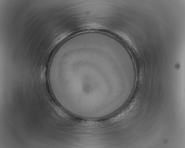 X0000116800873201001081332