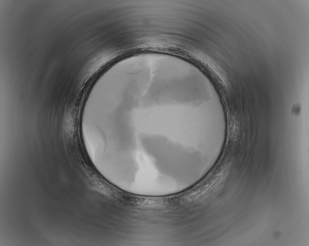 X0000116800874201001081332