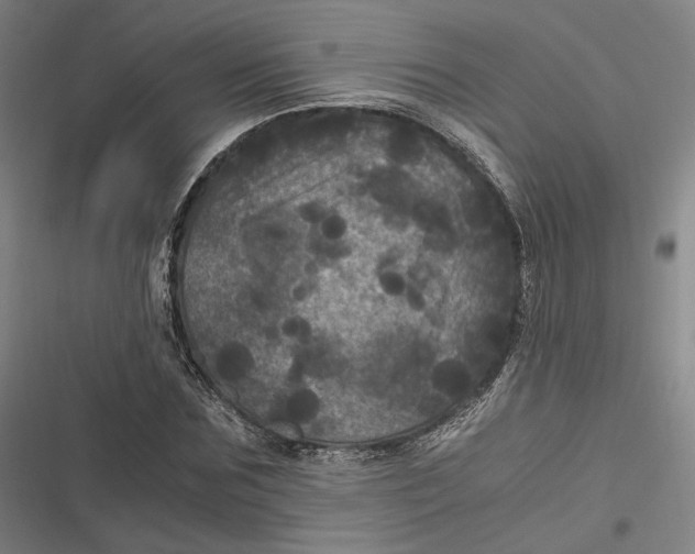 X0000116800875201001081332