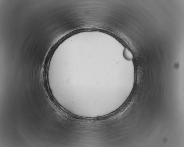 X0000116800876201001081332