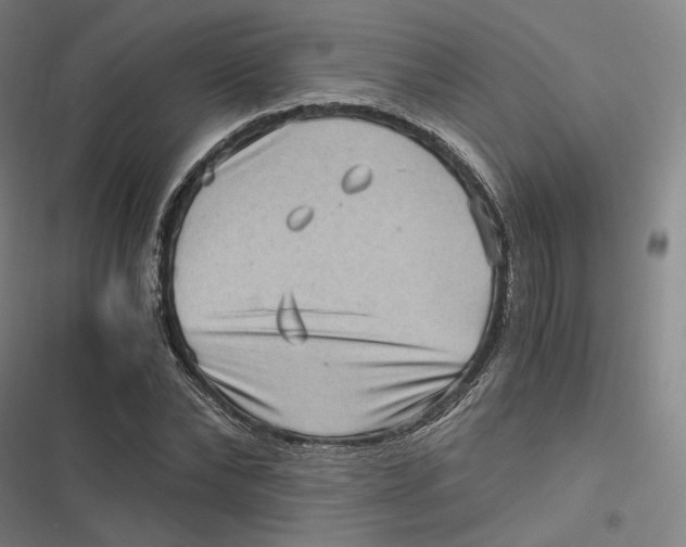 X0000116800878201001081332