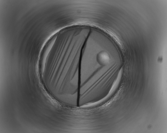 X0000116800880201001081332