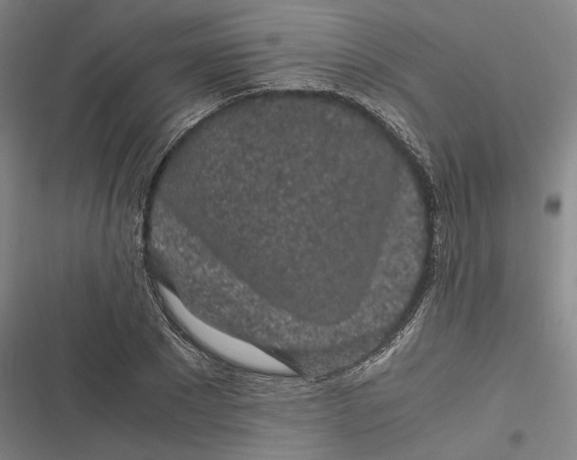 X0000116800881201001081332